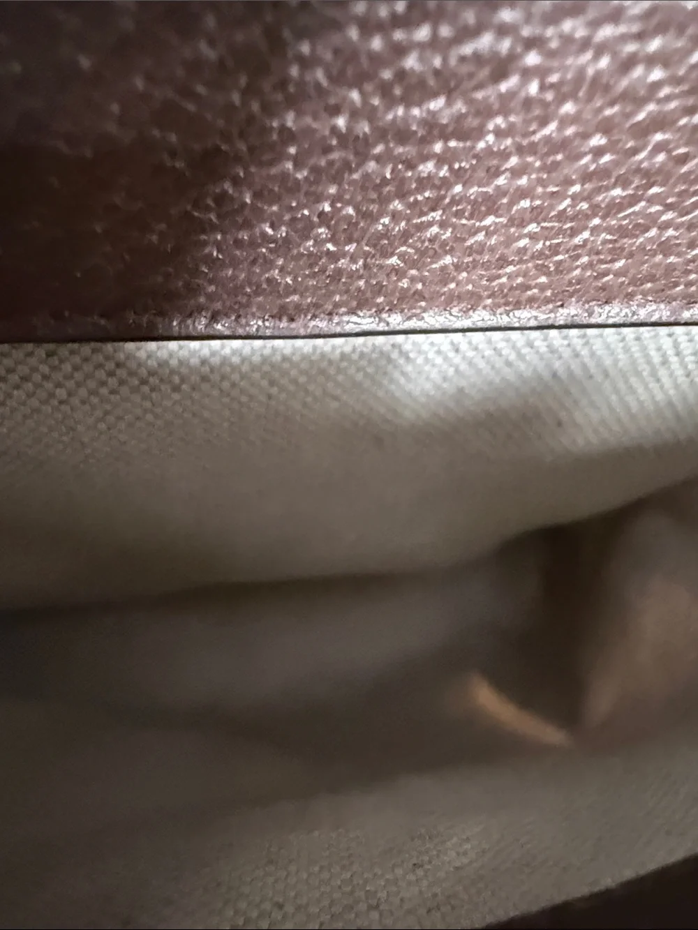 Gucci Brown GG Canvas Backpack with Sherry Line Green and Red